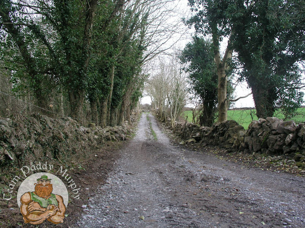 Road to the village